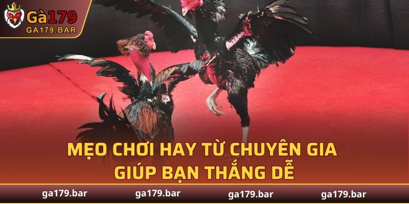 Mẹo chơi hay từ chuyên gia giúp bạn thắng dễ