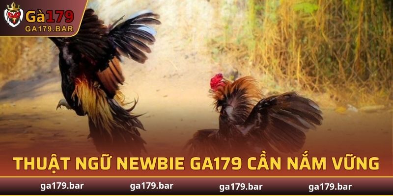 Một số thuật ngữ newbie GA179 cần nắm vững