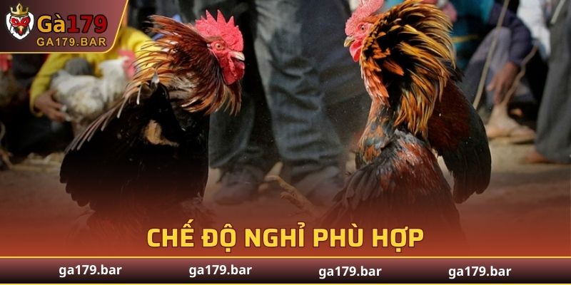 Nghỉ ngơi hồi lại sức lực