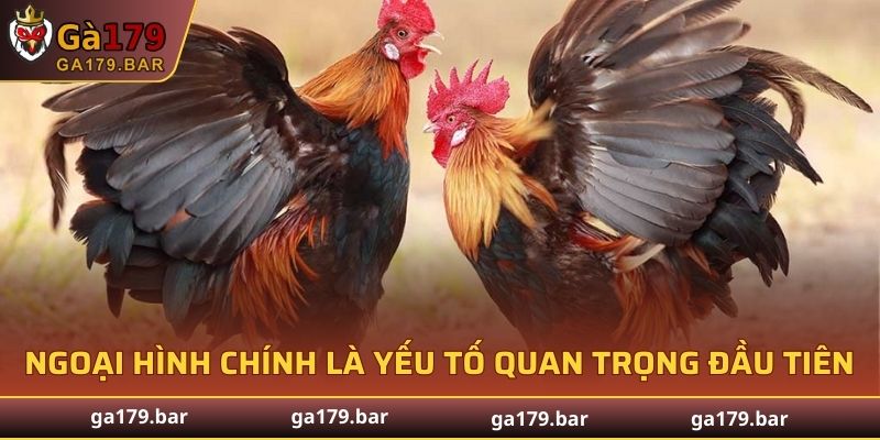 Ngoại hình chính là yếu tố quan trọng đầu tiên