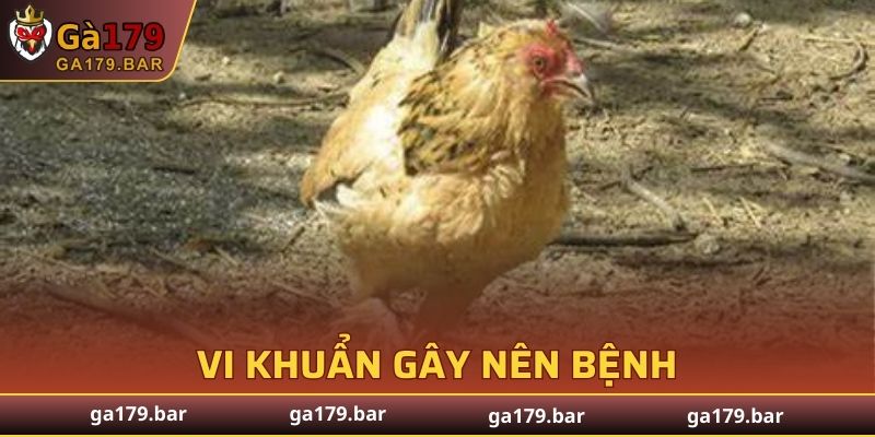 Nguồn gốc gây nên căn bệnh