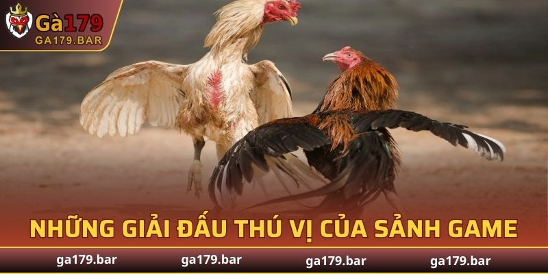 Những giải đấu thú vị của sảnh game