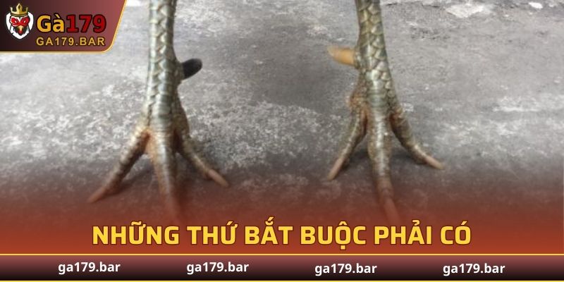 Những thứ bắt buộc phải có