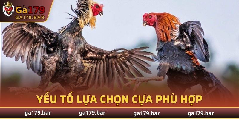 Những yếu tố nhằm lựa chọn cựa phù hợp