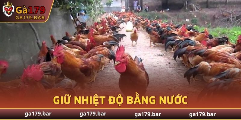 Nước giúp đảm bảo chất
