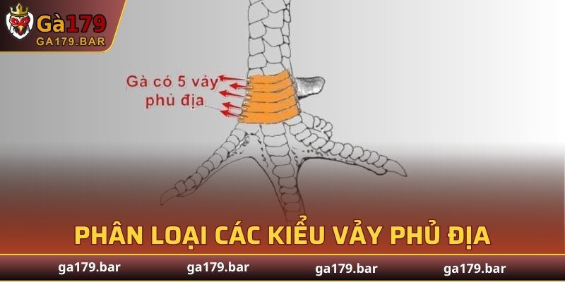 Phân loại các kiểu vảy phủ địa