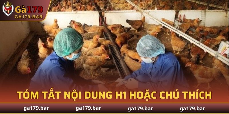 Phòng ngừa bệnh Gumboro ở gà