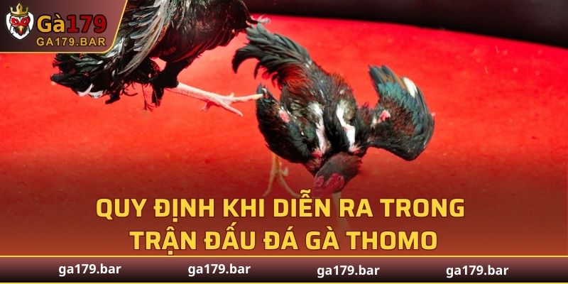 Quy định khi diễn ra trong trận đấu đá gà Thomo