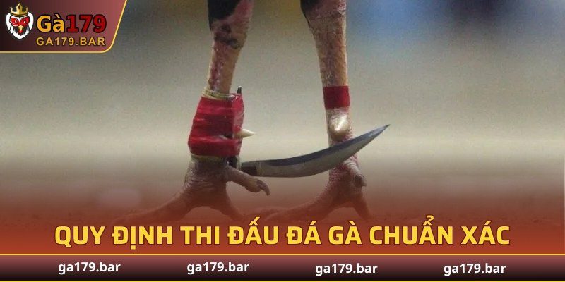 Quy định thi đấu đá gà chuẩn xác