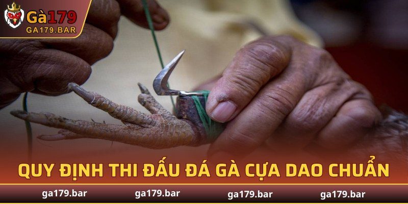 Quy định thi đấu đá gà cựa dao chuẩn quốc tế