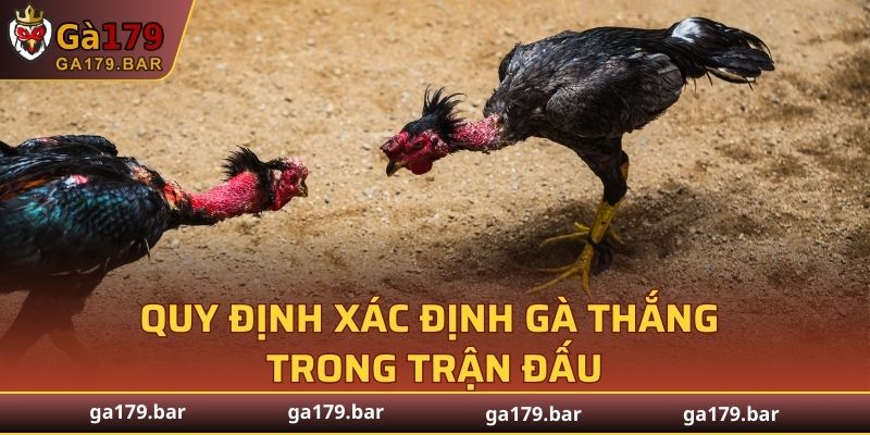Quy định xác định gà thắng trong trận đấu