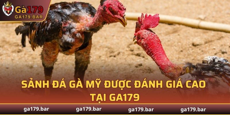 Sảnh đá gà Mỹ được đánh giá cao tại GA179