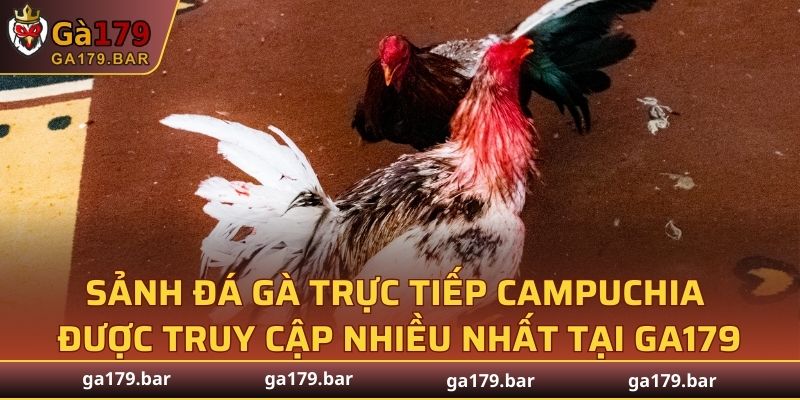 Sảnh đá gà trực tiếp Campuchia được truy cập nhiều nhất tại GA179