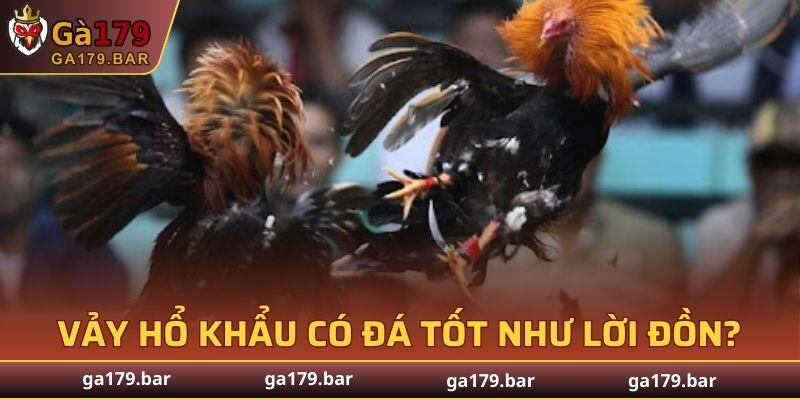 Sự phối hợp giữa sức mạnh, tốc độ và chiến thuật