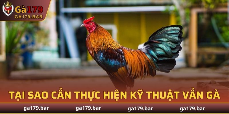 Tại sao cần thực hiện kỹ thuật vần gà chọi?