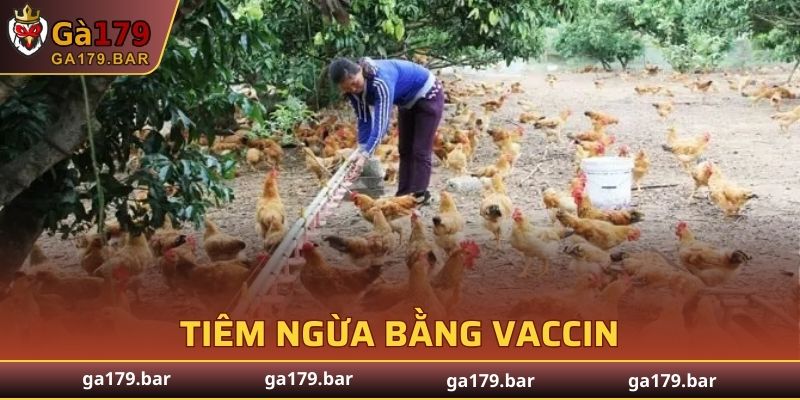 Tiêm phòng bệnh lây lan