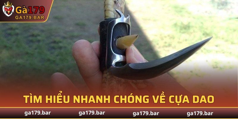 Tìm hiểu nhanh chóng về cựa dao