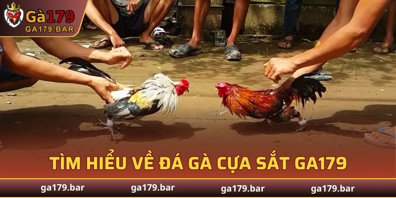 Tìm hiểu sơ lược về đá gà cựa sắt GA179