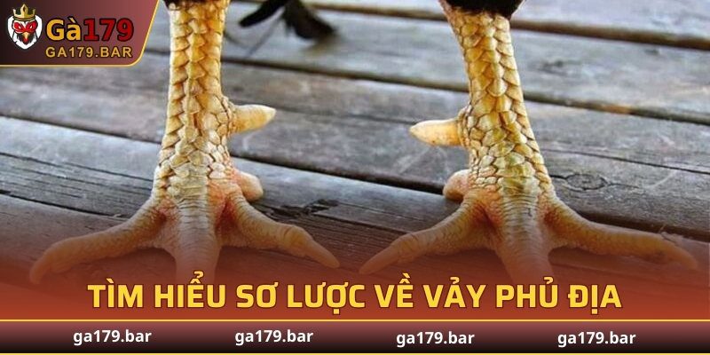 Tìm hiểu sơ lược về vảy phủ địa