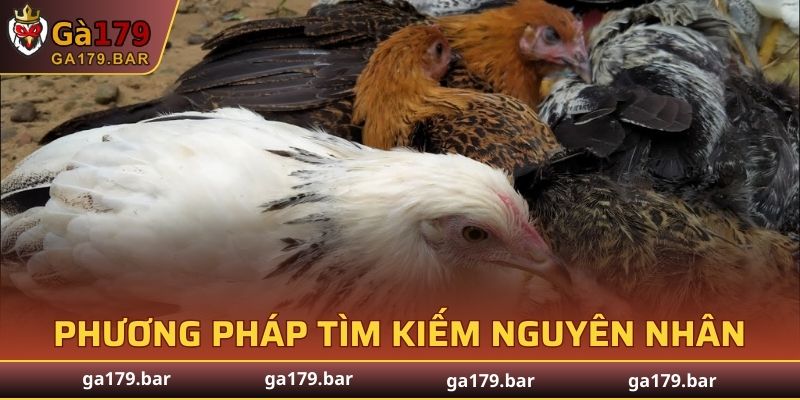 Tìm nguyên nhân bằng PCR