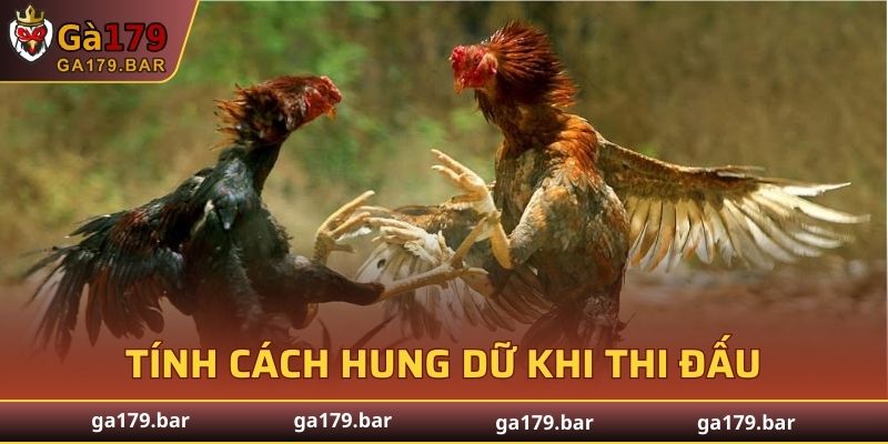 Tính cách hung dữ khi thi đấu