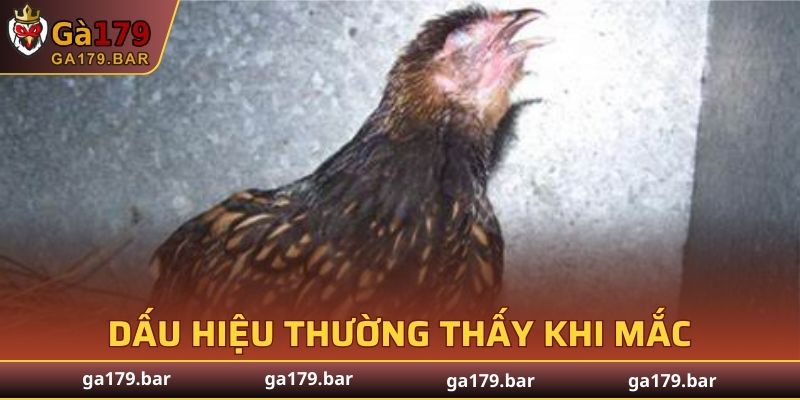 Triệu chứng phổ biến hay gặp