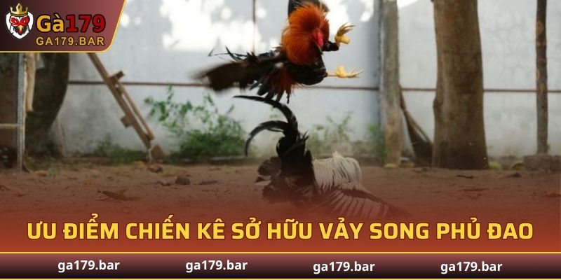 Ưu điểm chiến kê sở hữu vảy song phủ đao