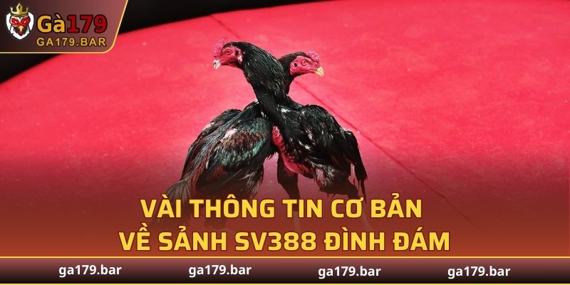 Vài thông tin cơ bản về sảnh SV388 đình đám