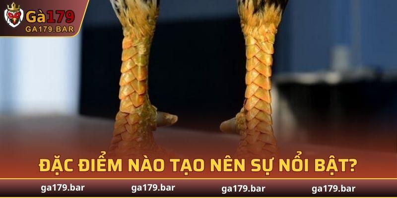 Vảy Hổ Khẩu được nhận xét thuộc loại quý hiếm
