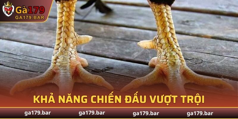 Vì sao các cá thể đặc biệt này được săn đón nhiều?