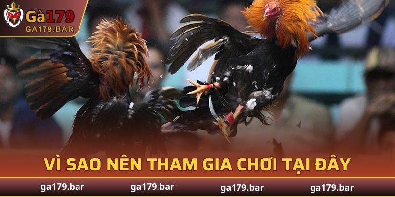 Vì sao nên tham gia chơi tại đây