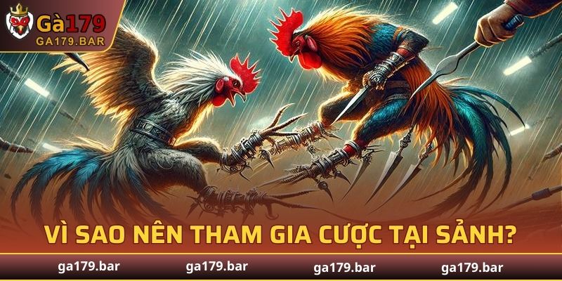Vì sao nên tham gia cược tại sảnh Sabong?